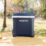 Large capacity cool box