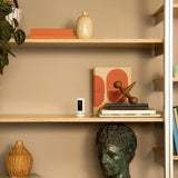 wireless home security alarm