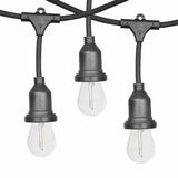 Feit 24 Pack LED String Light Replacement Bulbs Outdoor Weatherproof NEW